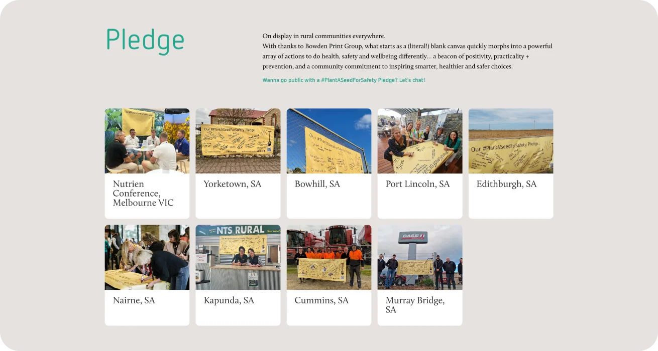 Plant A Seed Portfolio Highlight 3